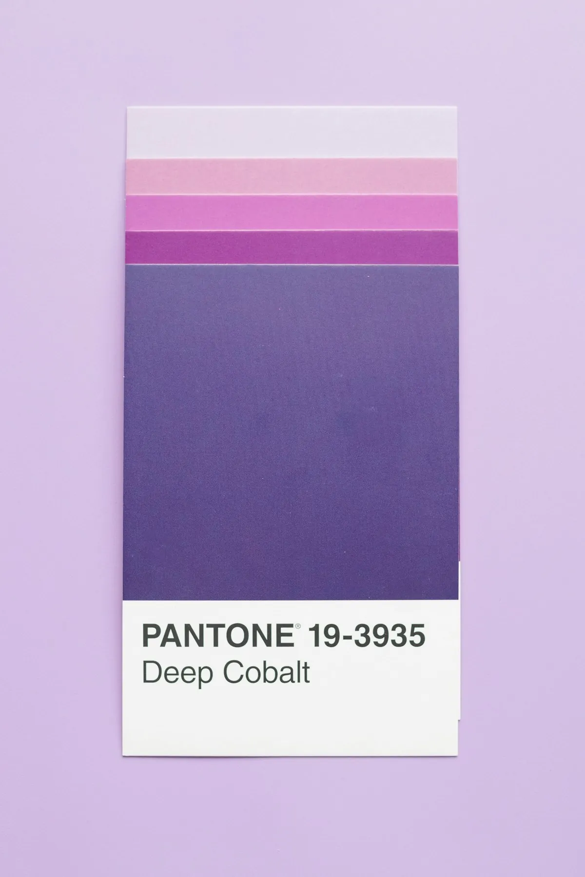 Business card design process: planning, stationery and visual layout