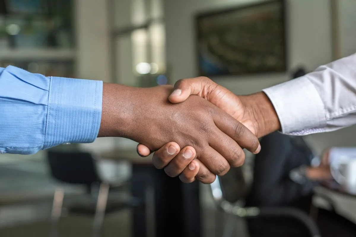 Business consultation handshake